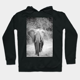 Black and white elephant Hoodie